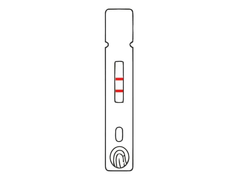 Instrukcja wykonania testu na antybiotyki w mleku -